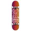 DARKSTAR Warrior Yth FP Premium Complete Skateboard 7.375'' - Multi