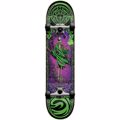 DARKSTAR Magic FP Premium Complete Skate 7.875''
