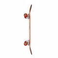 SPEED DEMONS Hot Shot Complete Skateboard 8''