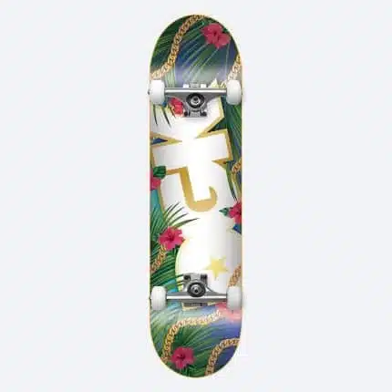 DGK Vacation complete skateboard - Πολύχρωμο.